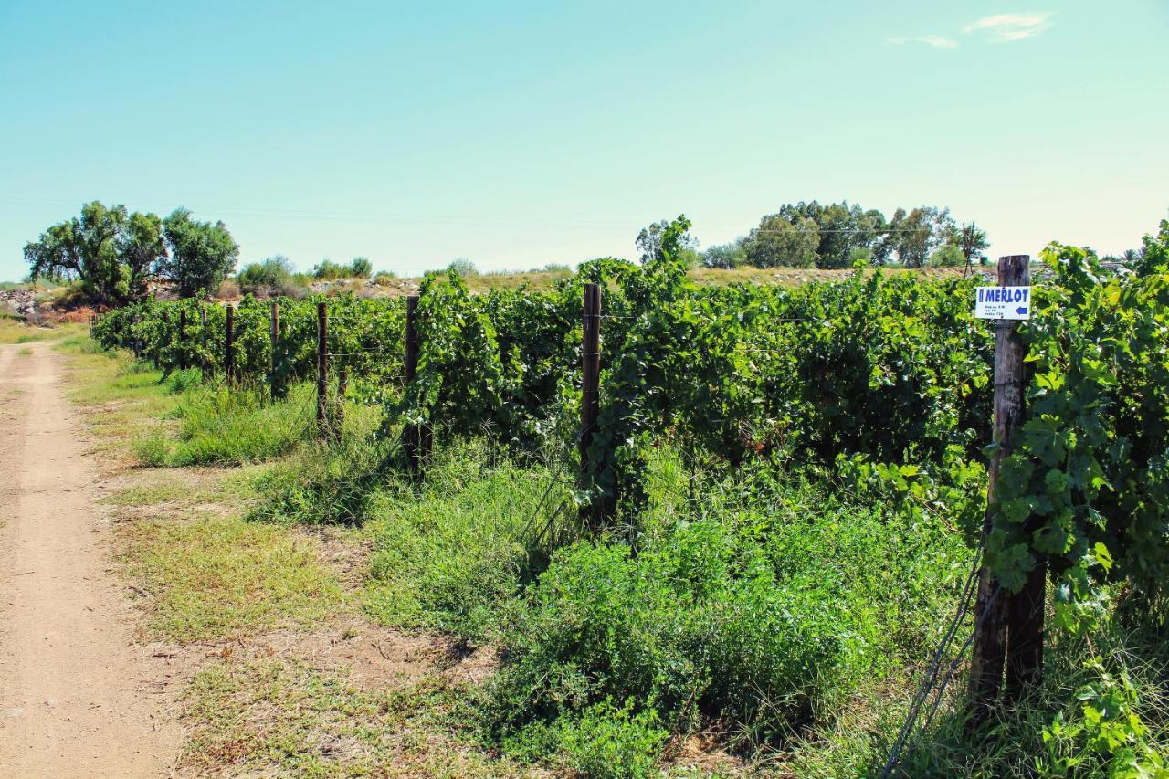Bezalel Wine & Brandy Estate Βίλα Kanoneiland Εξωτερικό φωτογραφία