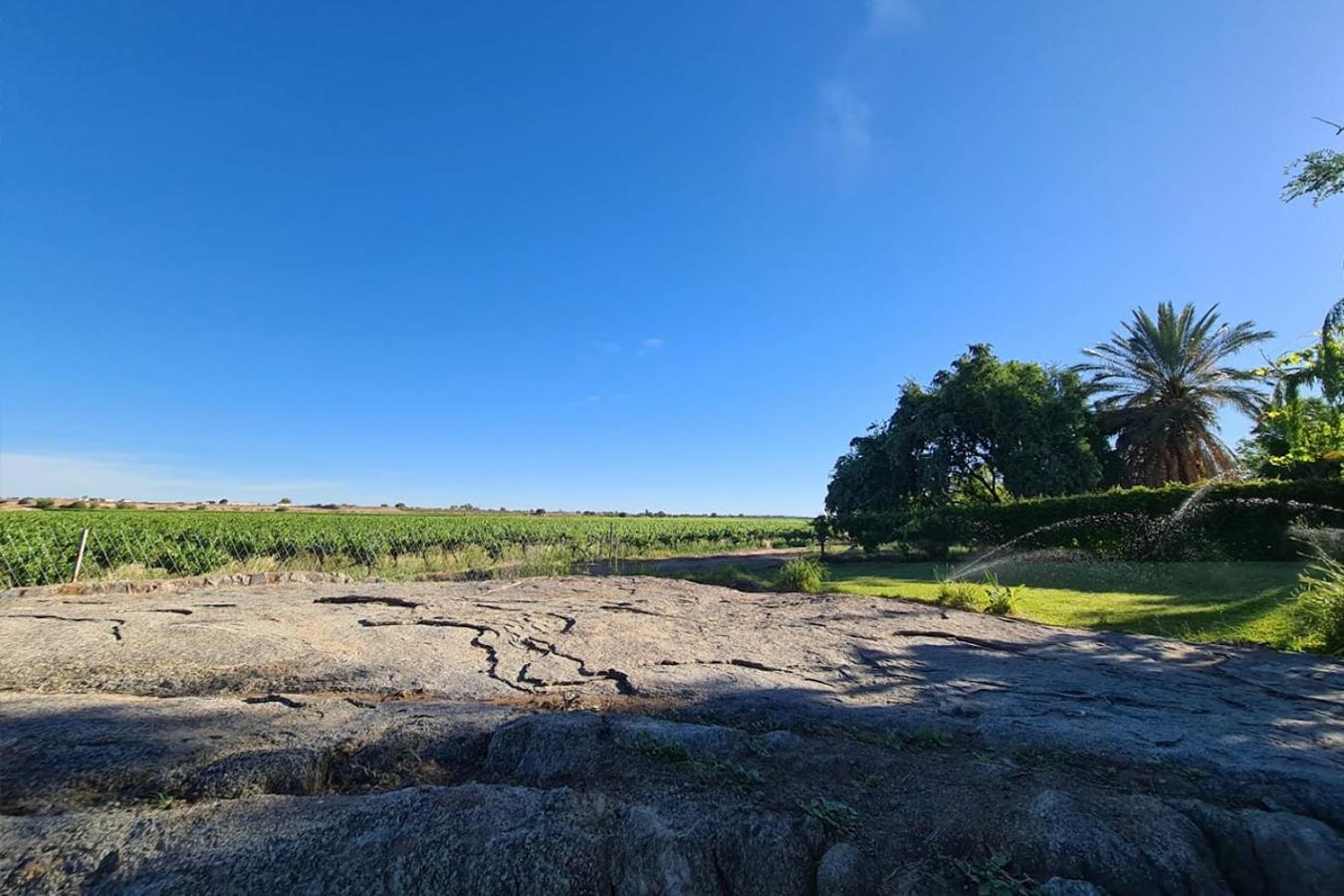 Bezalel Wine & Brandy Estate Βίλα Kanoneiland Εξωτερικό φωτογραφία